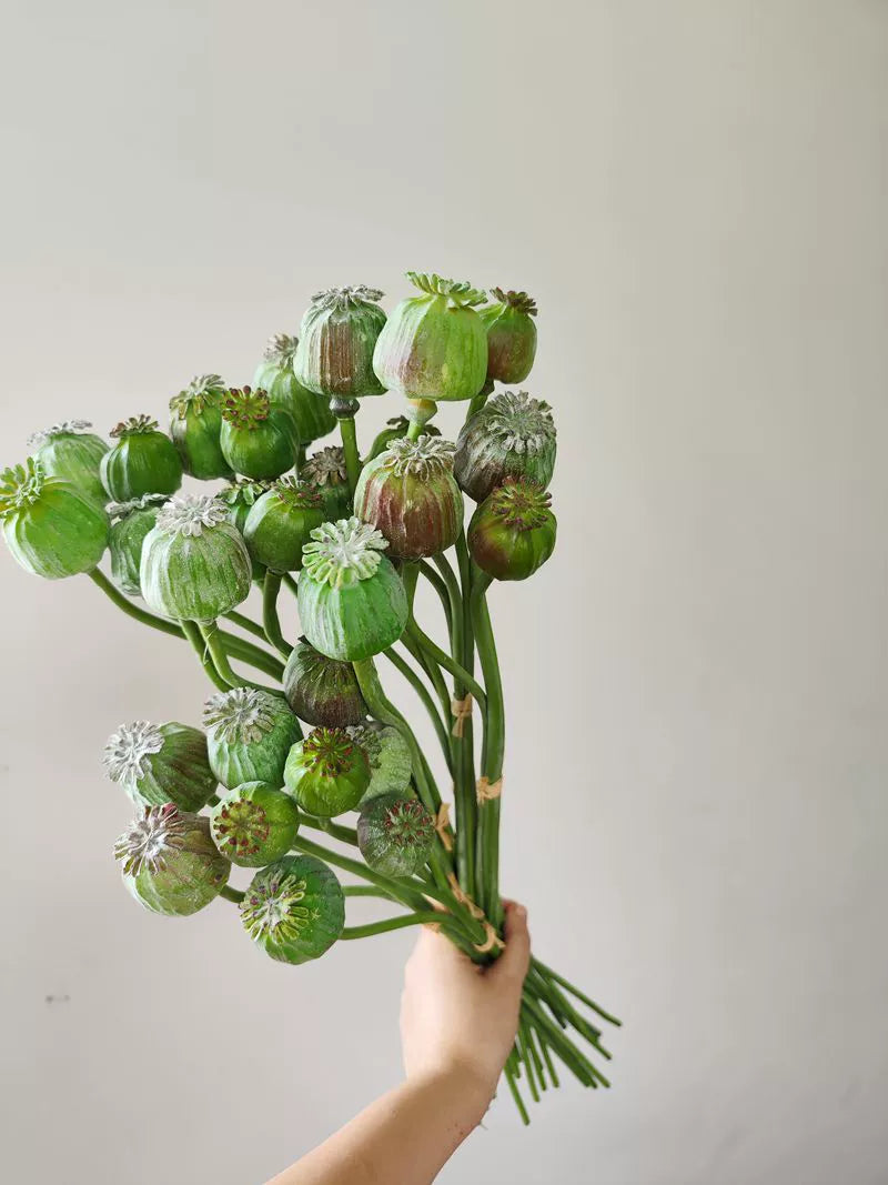 planting poppy seed pods Artificial Opium Poppy Seed Pods Stem – Floral Supplies Store