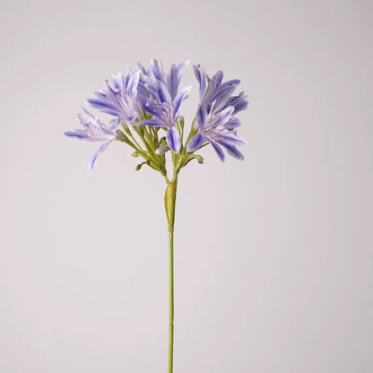 22" Real Touch Artificial Agapanthus Stem