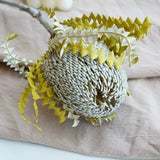 Load image into Gallery viewer, Real Dried Preserved Banksia Flower with Foliage