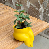 Load image into Gallery viewer, Funny Little Legs Resin Succulent Pot