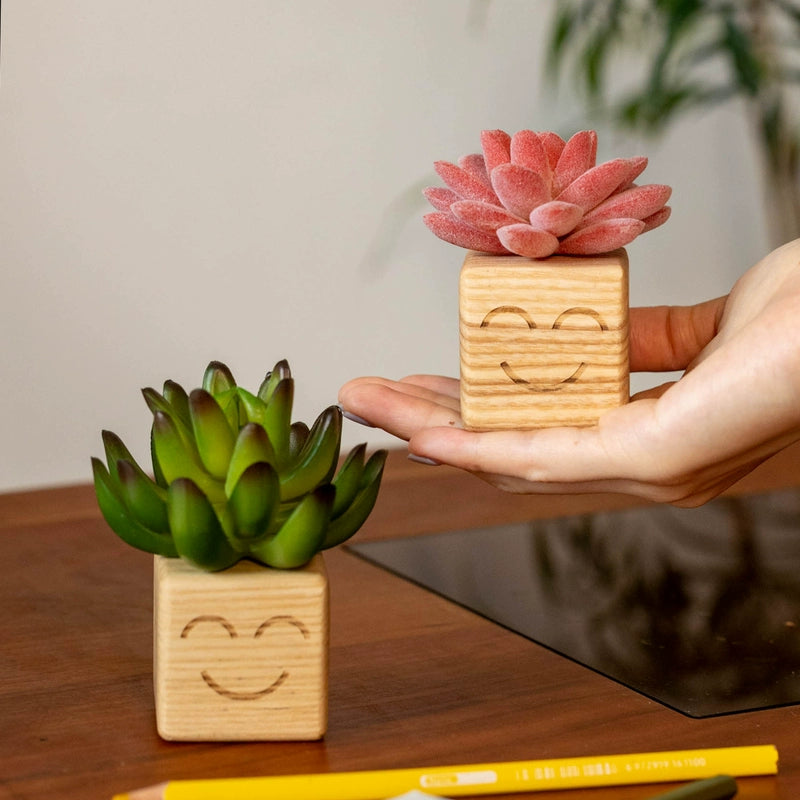 mini succulents artificial Smiling Artificial Mini Succulents