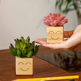 Load image into Gallery viewer, Smiling Artificial Mini Succulents