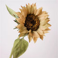 1 stem