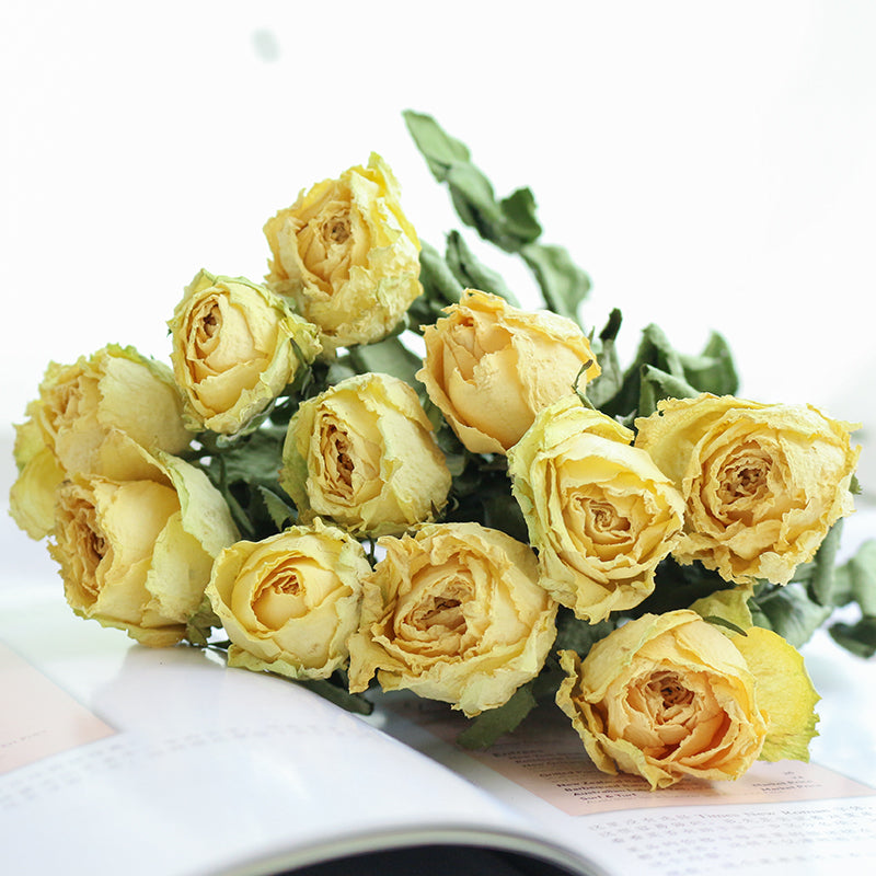 Real Dried Roses 10 Stems