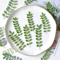 60 pcs