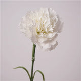 Load image into Gallery viewer, Real Touch Artificial Carnation Flower Stem (49cm)