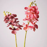 Load image into Gallery viewer, Real Touch Artificial Vanda Orchid Stem (75cm)