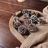 10pcs snow pinecones