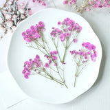 Load image into Gallery viewer, 12 Pcs Pressed Dried Baby&#39;s Breath Flowers