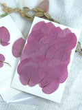 Load image into Gallery viewer, 50 Pcs Dried Pressed Pink Leaves for Crafts