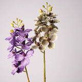 Load image into Gallery viewer, Real Touch Artificial Vanda Orchid Stem (75cm)