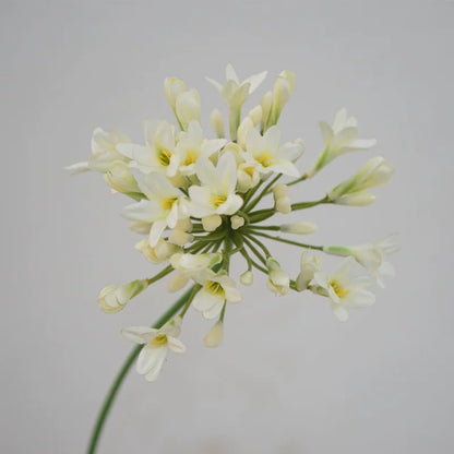 30" Artificial Lily of the Nile Stem