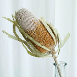 Load image into Gallery viewer, Real Dried Preserved Banksia Flower with Foliage