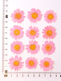 Load image into Gallery viewer, 12 Pcs Pressed Dried Dyed Daisy Flowers