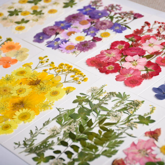 26 Pcs Mixed Dried Pressed Flowers Leaves