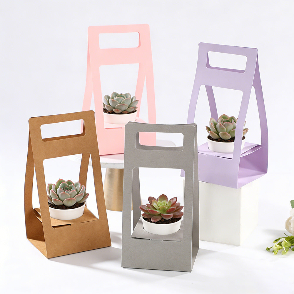 Decorative Succulent Plant Gift Box Pack 20