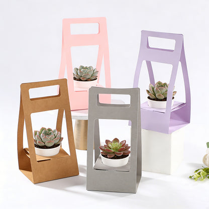 Decorative Succulent Plant Gift Box Pack 20