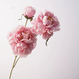 Load image into Gallery viewer, 3-Head Artificial Silk Peony Spray (77cm)