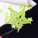 Load image into Gallery viewer, 5 Pcs Dried Pressed Star Fruit for DIY Crafts