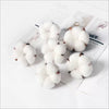 10pcs cotton