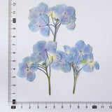 Load image into Gallery viewer, 50 Pcs Real Pressed Dried Hydrangea Flower