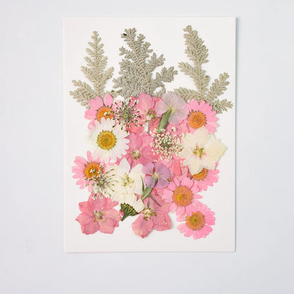 26 Pcs Mixed Dried Pressed Flowers Leaves