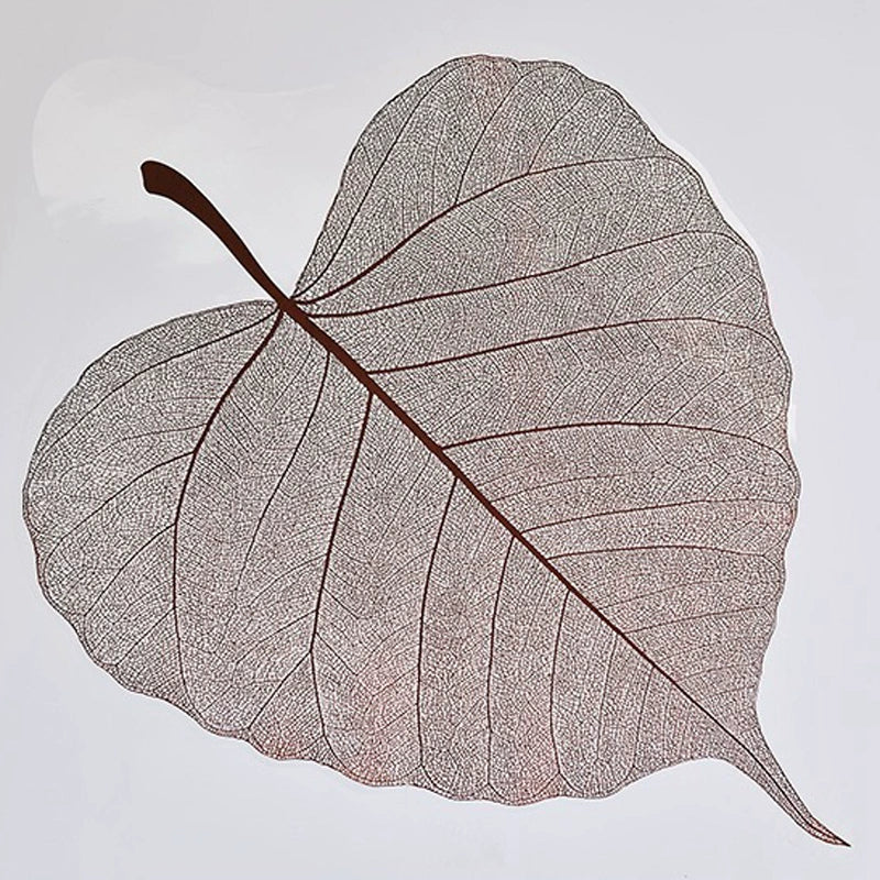 20pcs Leaf Shaped Bouquet Cellophane Wrap