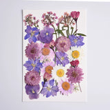 Load image into Gallery viewer, 26 Pcs Real Dried Pressed Flowers for Resin Crafts