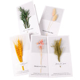 Load image into Gallery viewer, Real Dried Flower Greeting Cards Pack 10