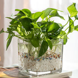 Load image into Gallery viewer, Clear Square Glass Flower Vase