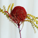 Load image into Gallery viewer, Real Dried Preserved Banksia Flower with Foliage