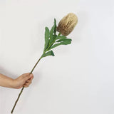 Load image into Gallery viewer, Artificial Banksia Flower Stem (64cm)