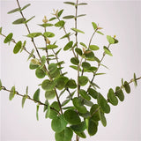 Load image into Gallery viewer, Real Touch Artificial Eucalyptus Branch (82cm)