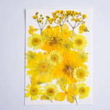 Load image into Gallery viewer, 26 Pcs Real Dried Pressed Flowers for Resin Crafts