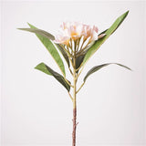 Load image into Gallery viewer, Real Touch Artificial Plumeria Spray (73cm)