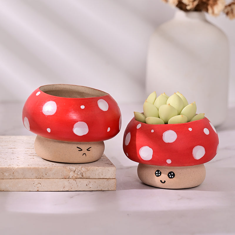 mushroom succulent pot Cute Mushroom Mini Ceramic Plant Pot