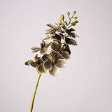 Load image into Gallery viewer, Real Touch Artificial Vanda Orchid Stem (75cm)