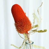 Load image into Gallery viewer, Real Dried Preserved Banksia Flower with Foliage