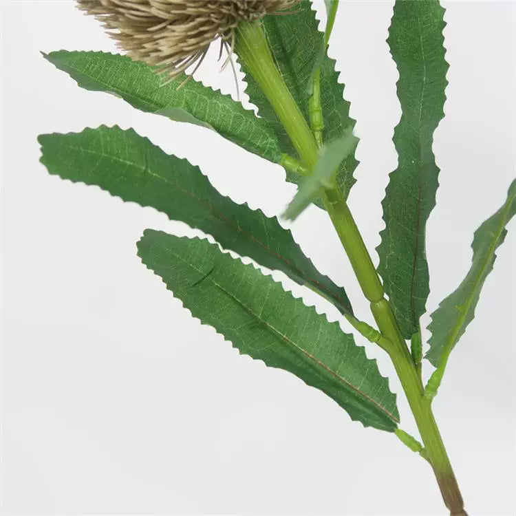 Tige de fleur de banksia artificielle de 25 po
