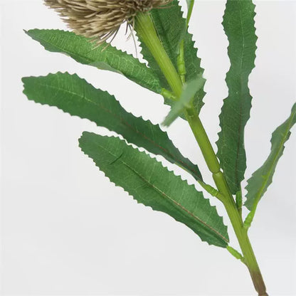 Tige de fleur de banksia artificielle de 25 po