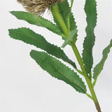 Load image into Gallery viewer, Artificial Banksia Flower Stem (64cm)