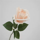 Load image into Gallery viewer, Real-Touch Lifelike Garden Rose Stem (47cm)