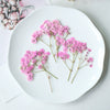 pink 100pcs