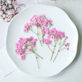 pink 100pcs