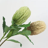Load image into Gallery viewer, Artificial Banksia Flower Stem (64cm)