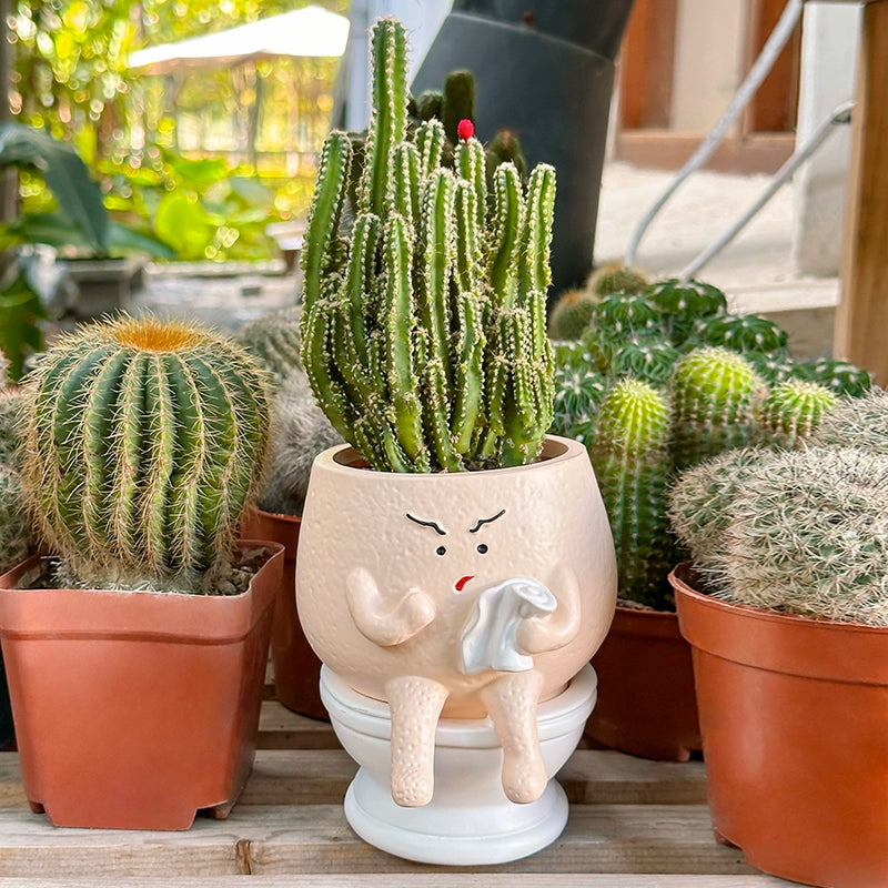 resin succulent pot Funny Toilet Character Resin Succulent Pot