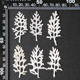 Load image into Gallery viewer, 50 Pcs Dried Pressed Silver Ragwort Leaves