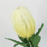 Load image into Gallery viewer, Artificial Banksia Flower Stem (64cm)