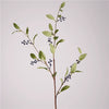 1 branch