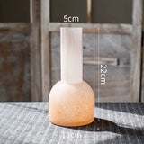 Load image into Gallery viewer, Modern Minimalist Pastel Glass Vase